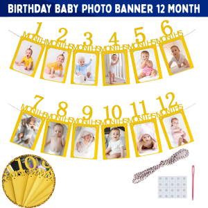 Baby's 1st Birthday Monthly Photo Banner | Newborn to 12 Months Picture Garland | One Year Old Birthday Photo Banner (1 Set)